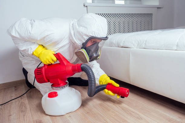 Best Termite Control Services  in Whiteland, IN