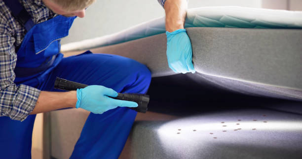 Best Exterminator Services  in Whiteland, IN